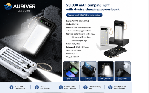 Auriver Camping Light With 4-wire Charging power Bank