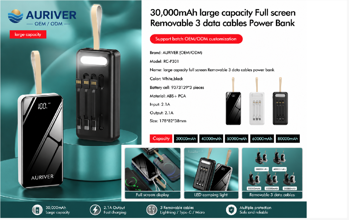 Auriver Camping Light With 4-wire Charging power Bank